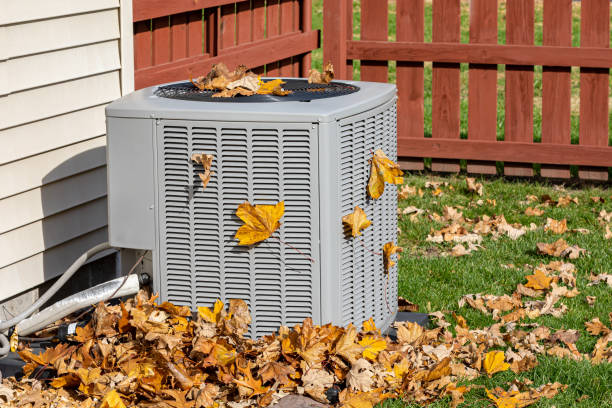 Best Best HVAC companies  in Tybee Island, GA